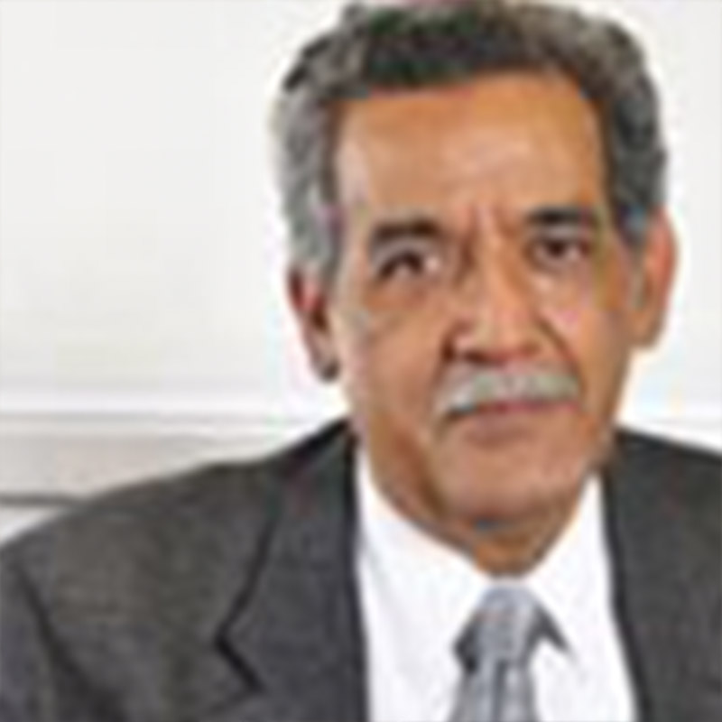 Manuel Moreno Castañeda